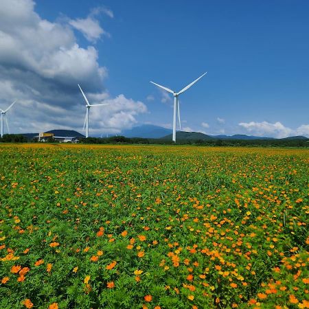 Brassica Flower Pension Seogwipo Dış mekan fotoğraf