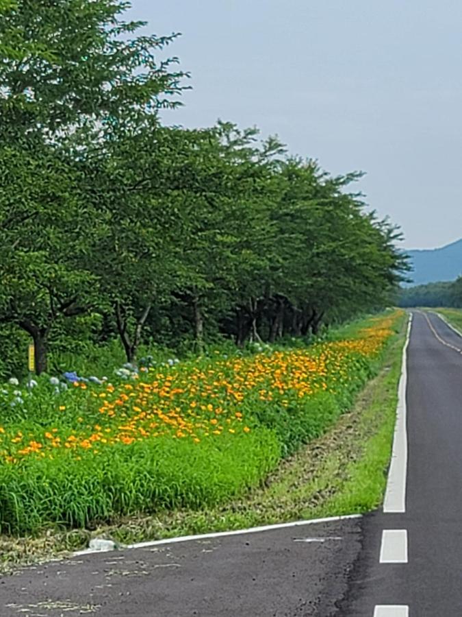 Brassica Flower Pension Seogwipo Dış mekan fotoğraf