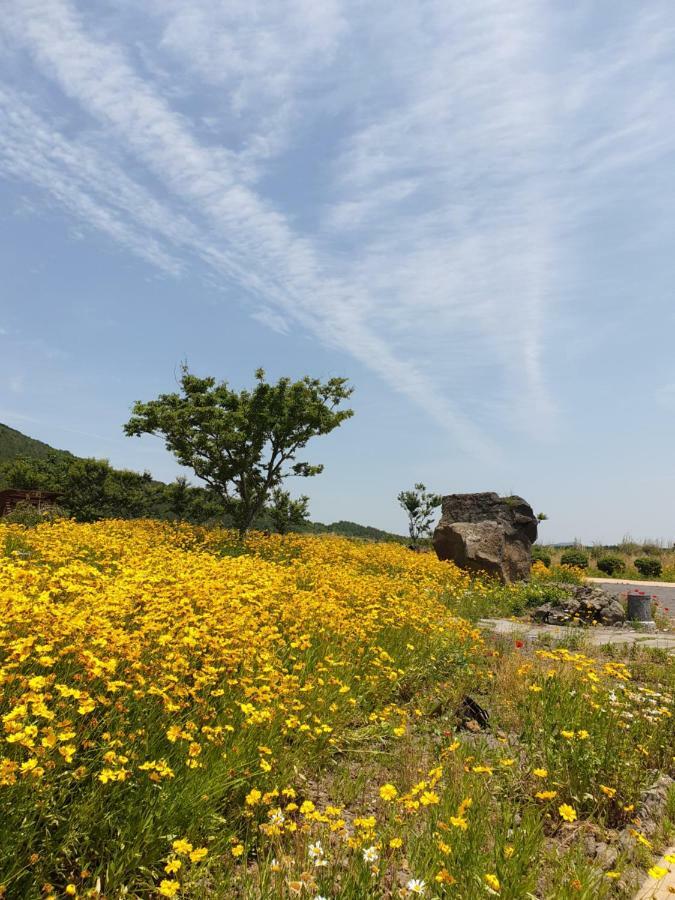 Brassica Flower Pension Seogwipo Dış mekan fotoğraf